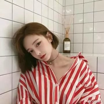 极地密码